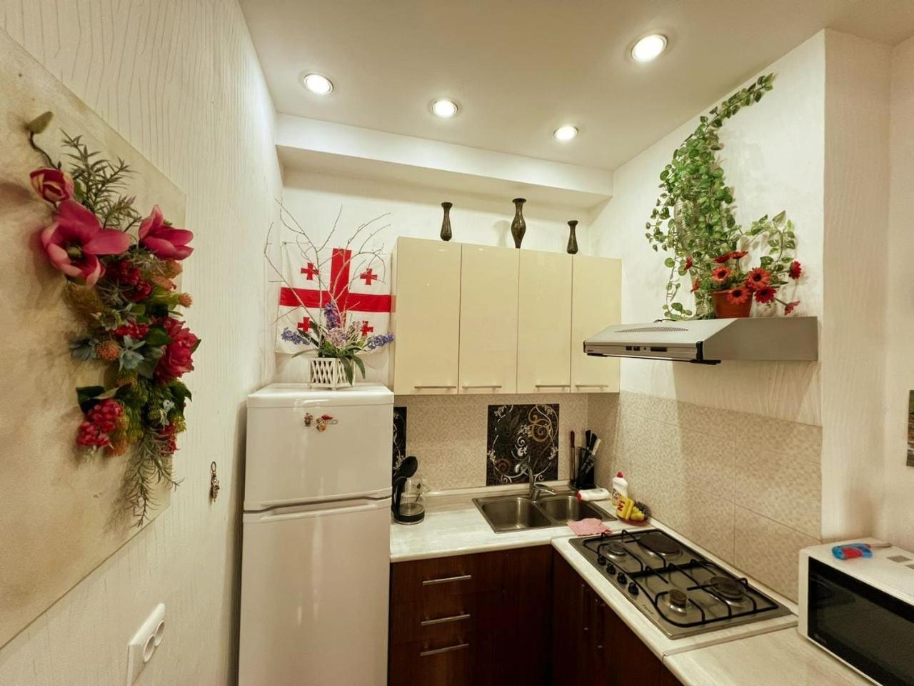 Cozy Apartment In The City Center Mtatsminda Tbilisi Buitenkant foto